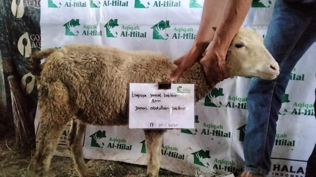 Aqiqah Cimahi Nikmat dan Praktis Tanpa Repot