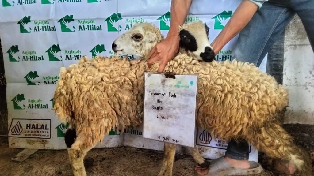 10 Keutamaan Aqiqah Sumedang untuk Ibadah Sunnah