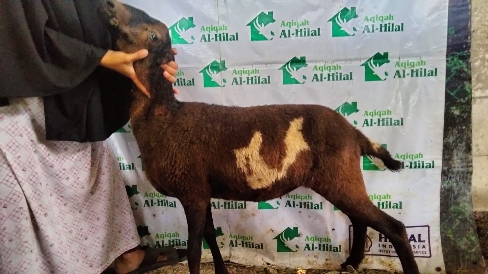 Aqiqah Bandung Lengkap dengan Paket Istimewa untuk Keluarga