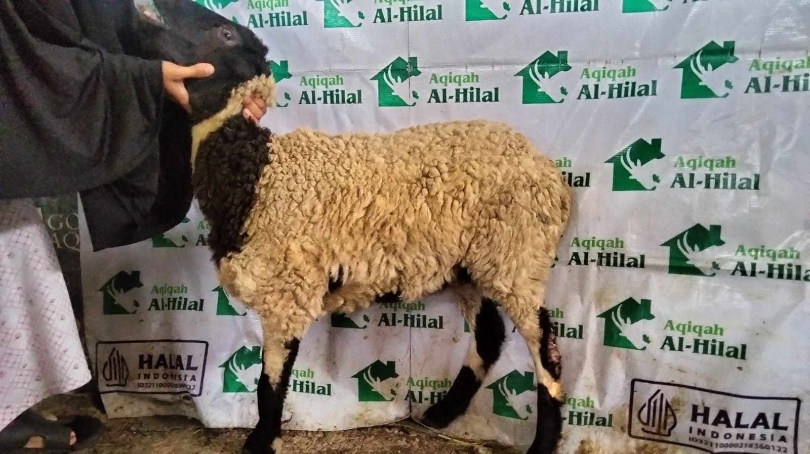 Aqiqah Cimahi Sesuai Syariat dengan Harga Transparan