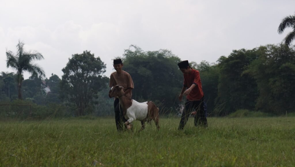 Aqiqah Bandung Promo Kambing Terbaik